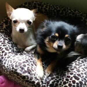 Meet your Posher, Beverly